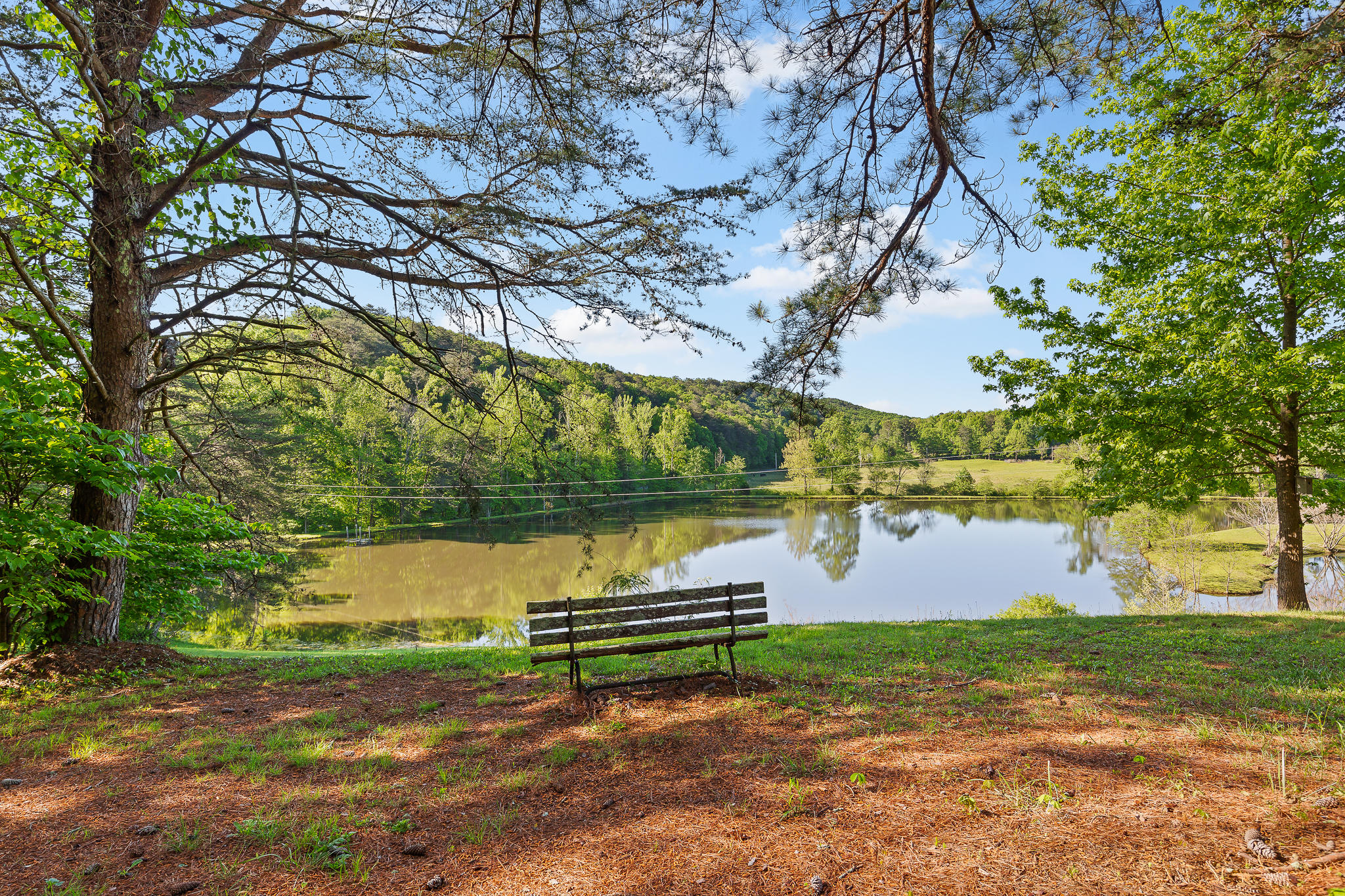 692 Crow Gap Road Chickamauga, GA 30707 - Photo 3 of 41 Pond