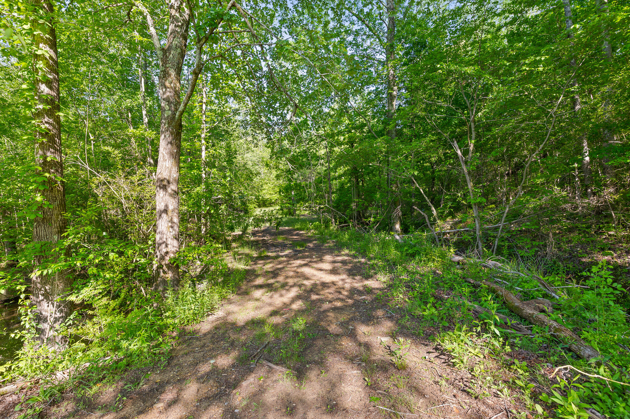 692 Crow Gap Road Chickamauga, GA 30707 - Photo 33 of 41 Woods