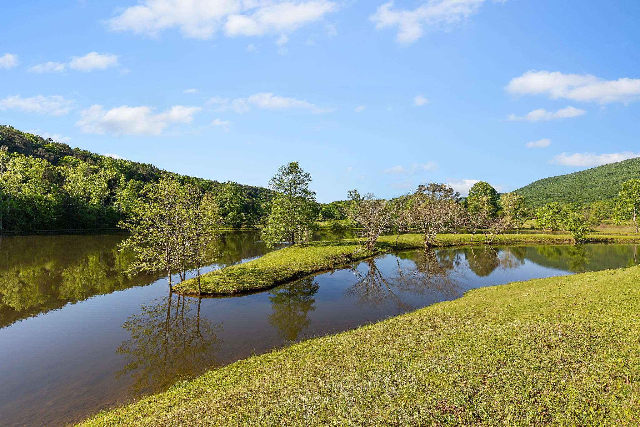 692 Crow Gap Road Chickamauga, GA 30707 - Photo 34 of 41 Pond