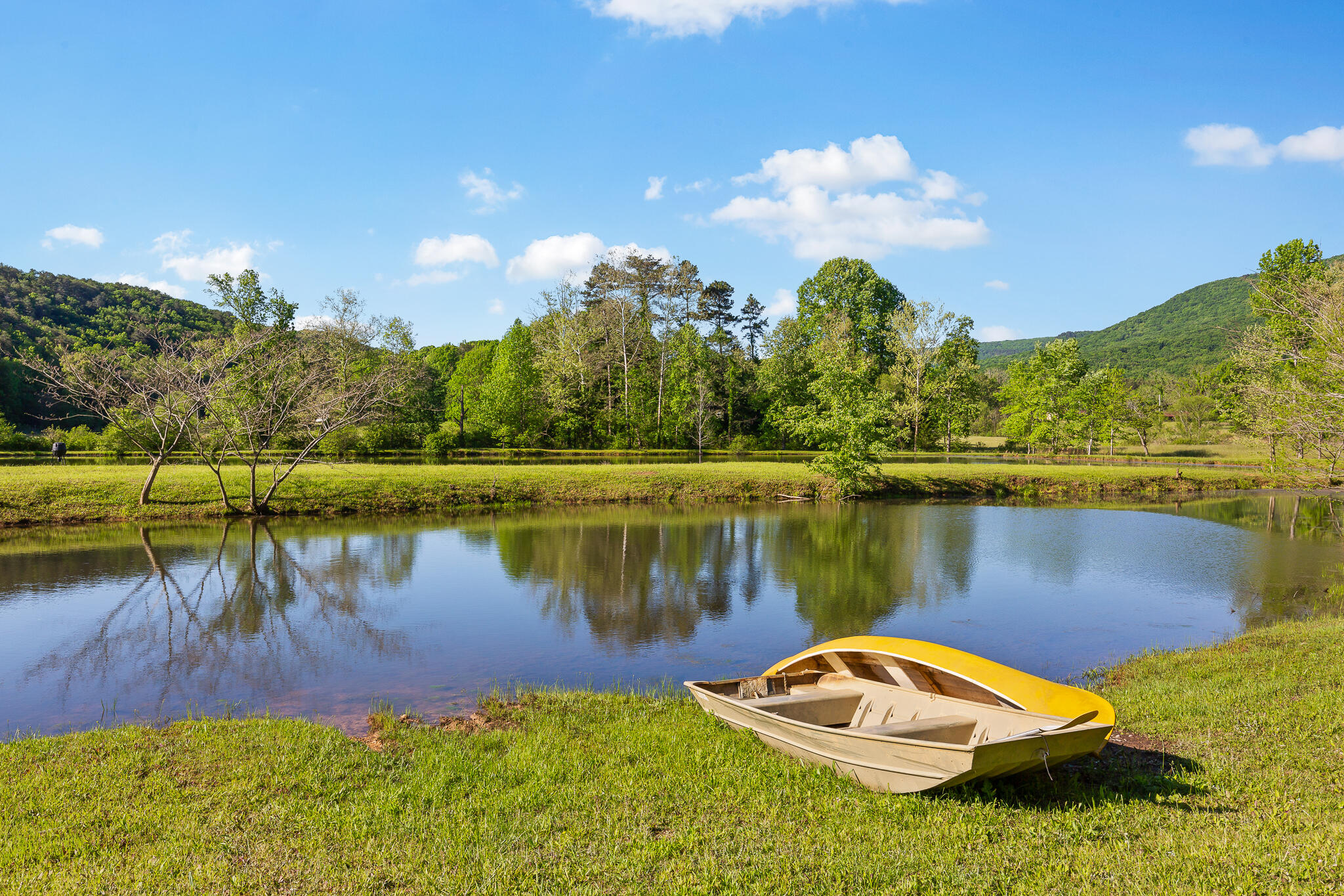 692 Crow Gap Road Chickamauga, GA 30707 - Photo 5 of 41 Pond