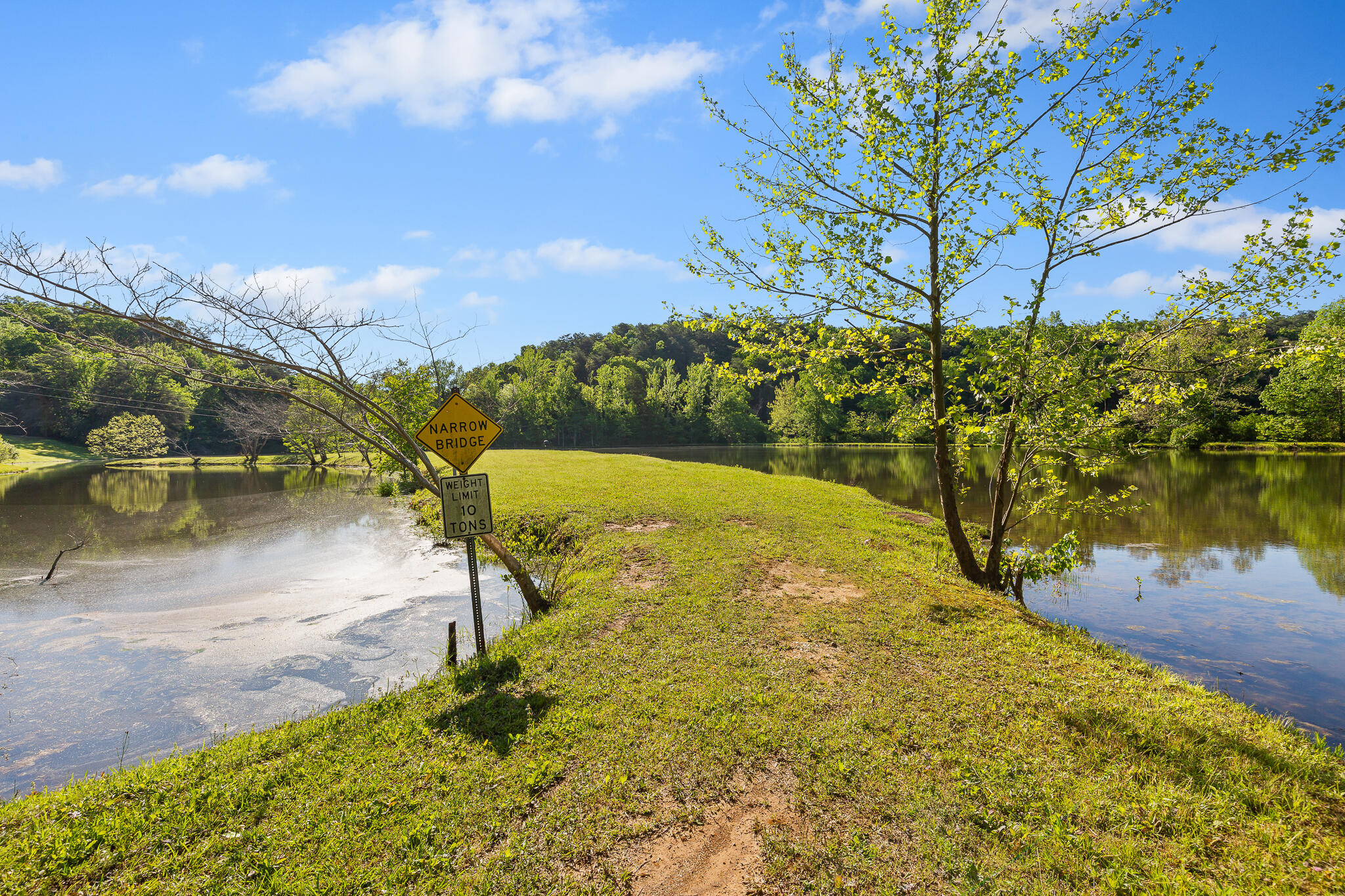692 Crow Gap Road Chickamauga, GA 30707 - Photo 6 of 41 Pond