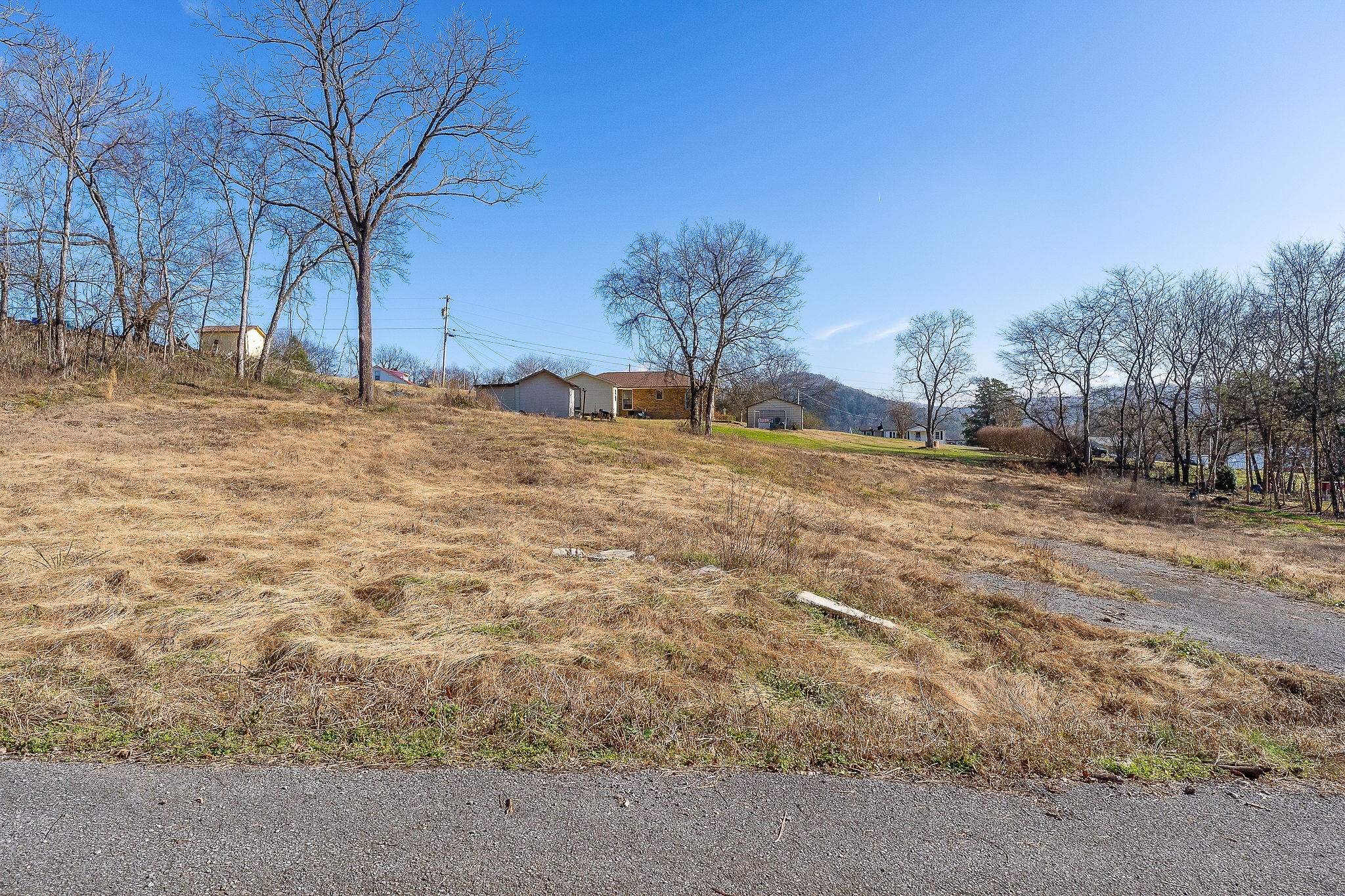 114 Stone Street Liberty, TN 37095 - Photo 13 of 14 a view of dirt yard with a large tree