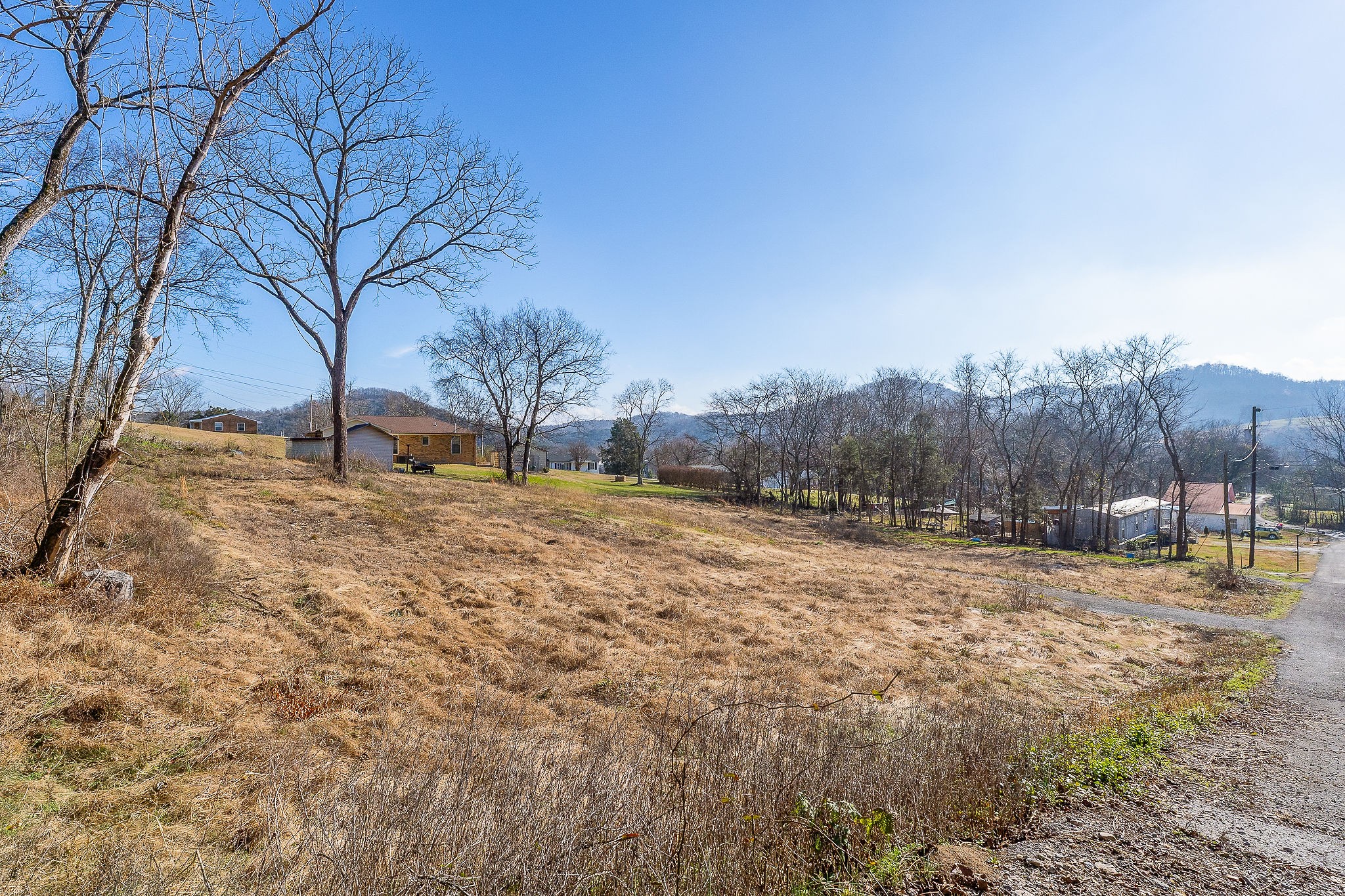 114 Stone Street Liberty, TN 37095 - Photo 14 of 14 a view of dirt yard with a tree