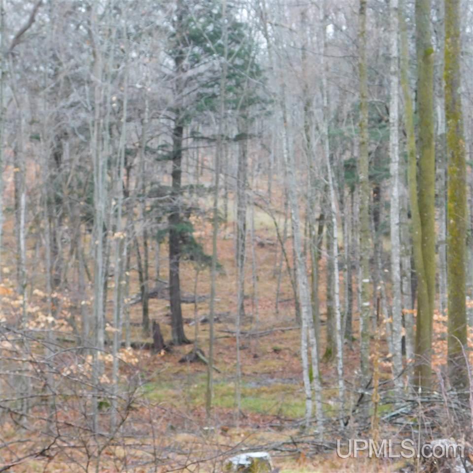 Tbd Bedard Road Vulcan, MI 49892 - Photo 26 of 28