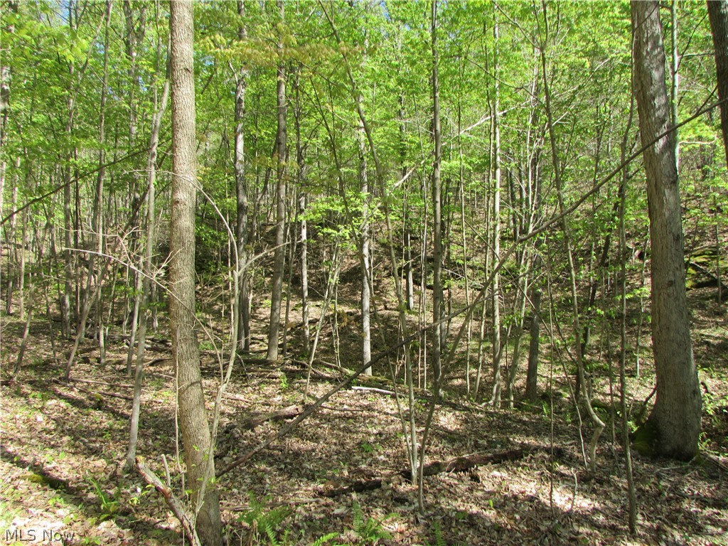 Mayberry Road Palestine, WV 26160 - Photo 13 of 20