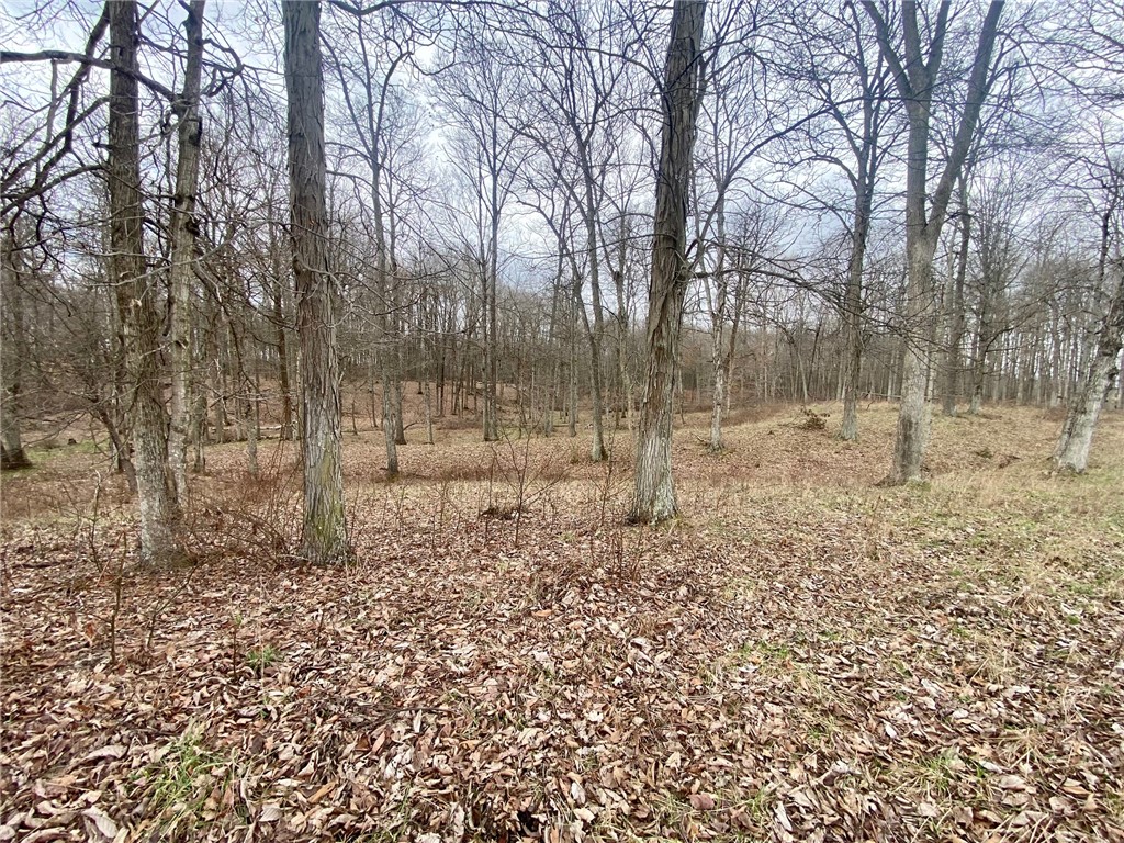 77 Wildcat Road Winchester, OH 45697 - Photo 15 of 19 This tranquil wooded lot offers a private escape, perfect for creating your dream home amidst nature's beauty.