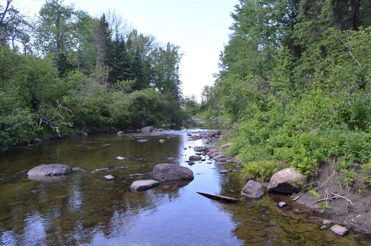 1994 East Ridge Road Athens, ME 04912 - Photo 4 of 8 DSC_0133