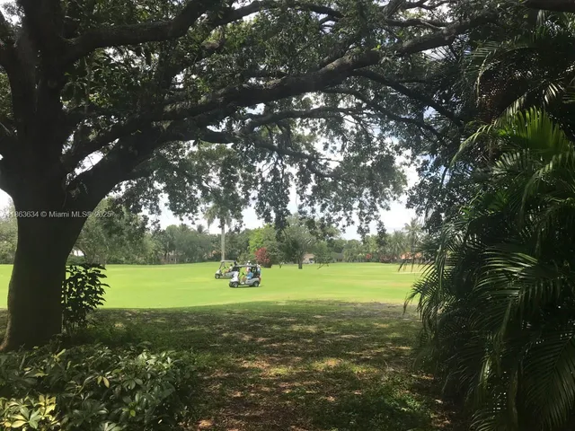 a view of field with large trees