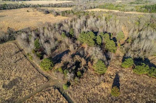 $1,295,000 | 6751 County Road 4710, Larue, TX 75770