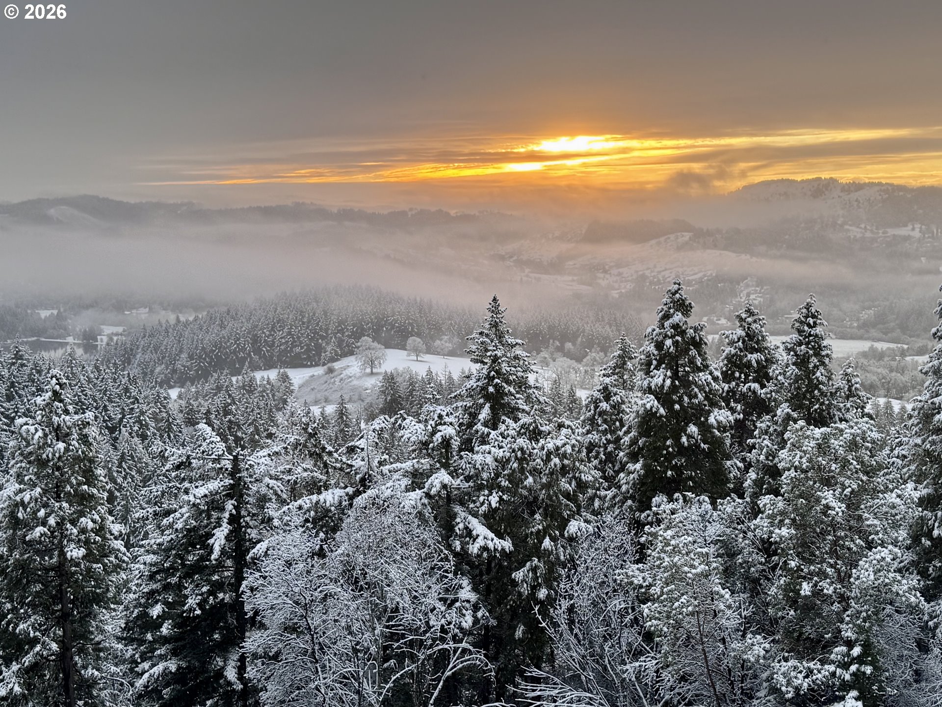 175 Doe Road Glide, OR 97443 - Photo 47 of 48
