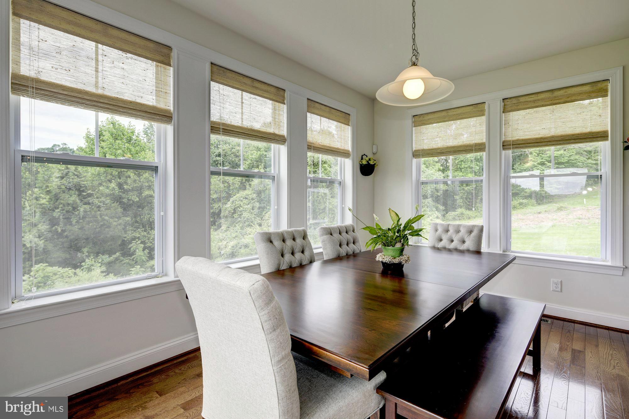 1119 Rochester Court Westminster, MD 21157 - Photo 11 of 36 Beautiful Views!