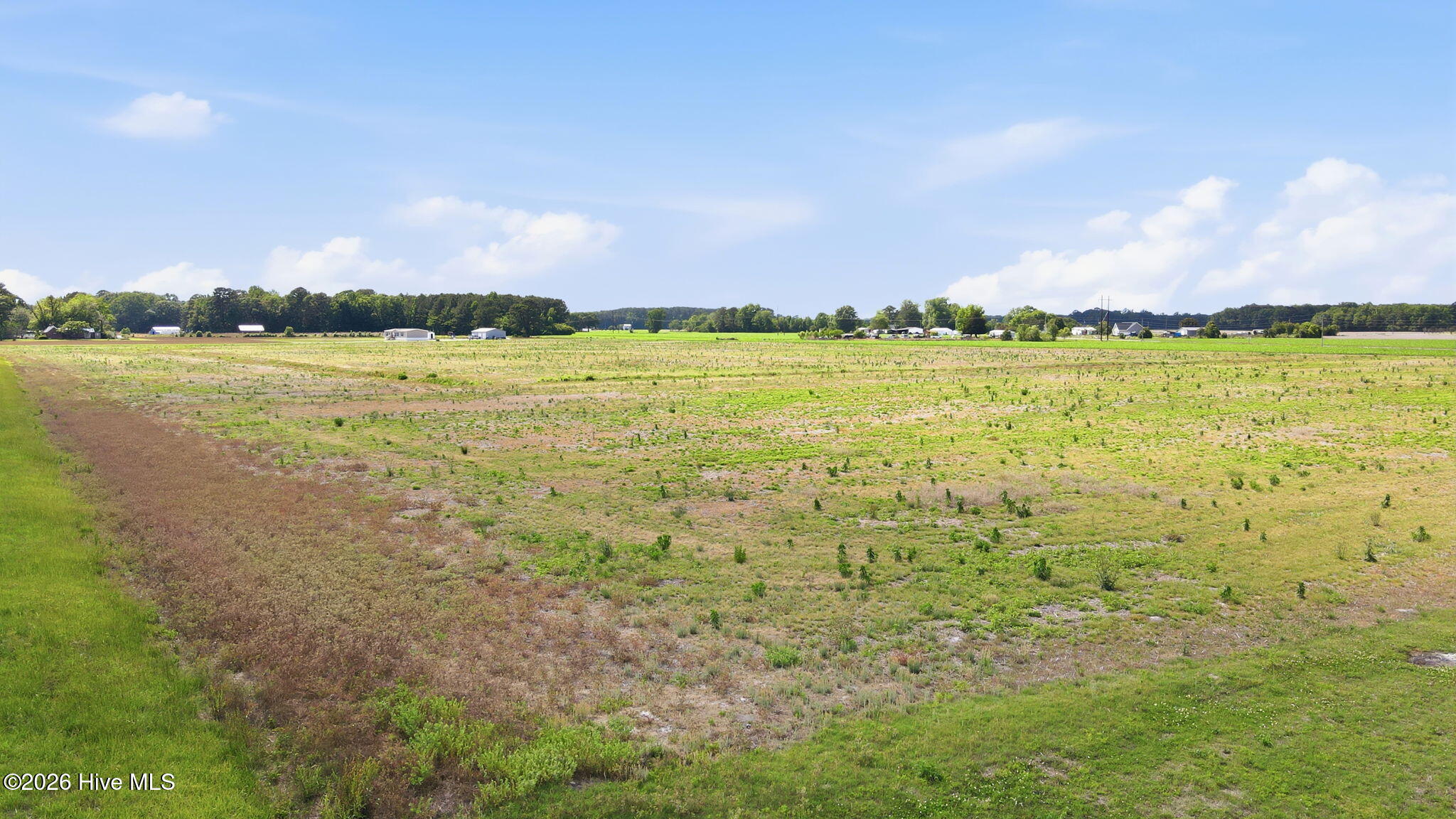 0 Buck Road Ayden, NC 28513 - Photo 16 of 17 16-web-or-mls-DJI_0784