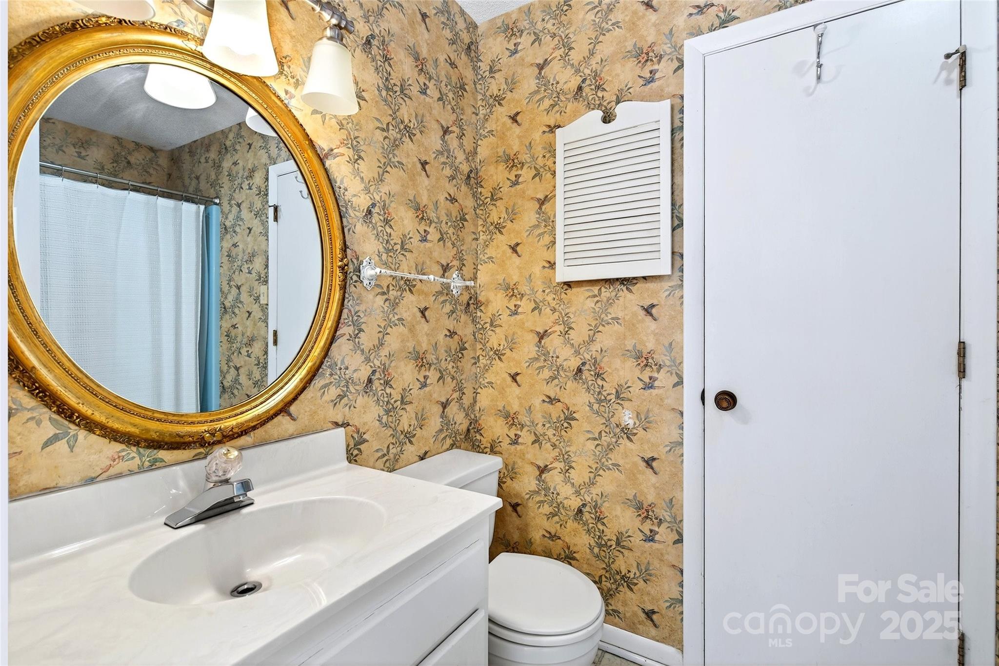 3 B Lynx Drive Black Mountain, NC 28711 - Photo 24 of 35 a bathroom with a sink and a mirror