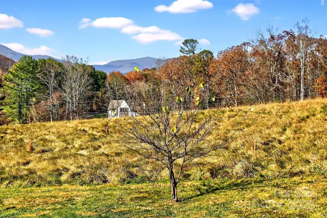 an aerial view of a town with trees