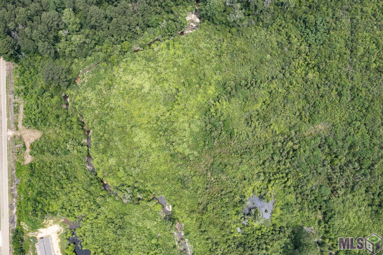 23060 Carson Road Pride, LA 70770 - Photo 4 of 6