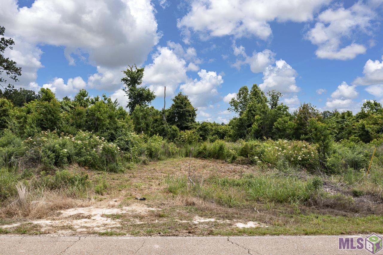 23060 Carson Road Pride, LA 70770 - Photo 5 of 6