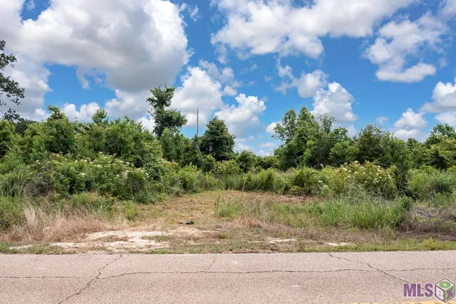 $98,000 | 23060 Carson Road, Pride, LA 70770