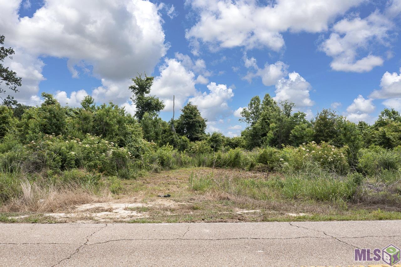 23060 Carson Road Pride, LA 70770 - Photo 6 of 6