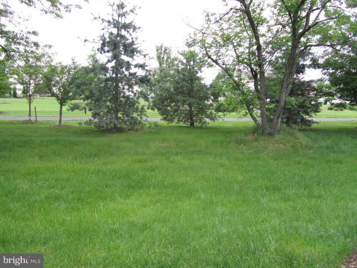 320 Doe Run Road Harleysville, PA 19438 - Photo 24 of 25 Back Yard