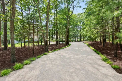 a wooden bench with trees in the background