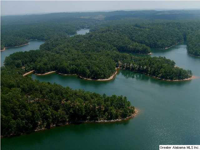 Lot 19 Sunset Ridge, Unit 19 Wedowee, AL 36278 - Photo 6 of 6