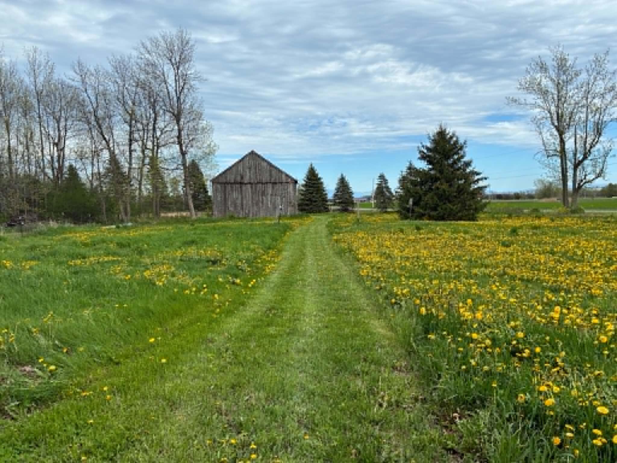 96 Davern Road Peru, NY 12972 - Photo 7 of 48 backyard 2