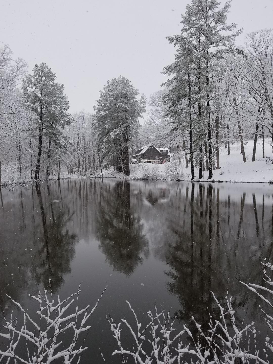 11010 Dickerson Mill Road Moneta, VA 24121 - Photo 33 of 33 Winter Wonderland on the Pond