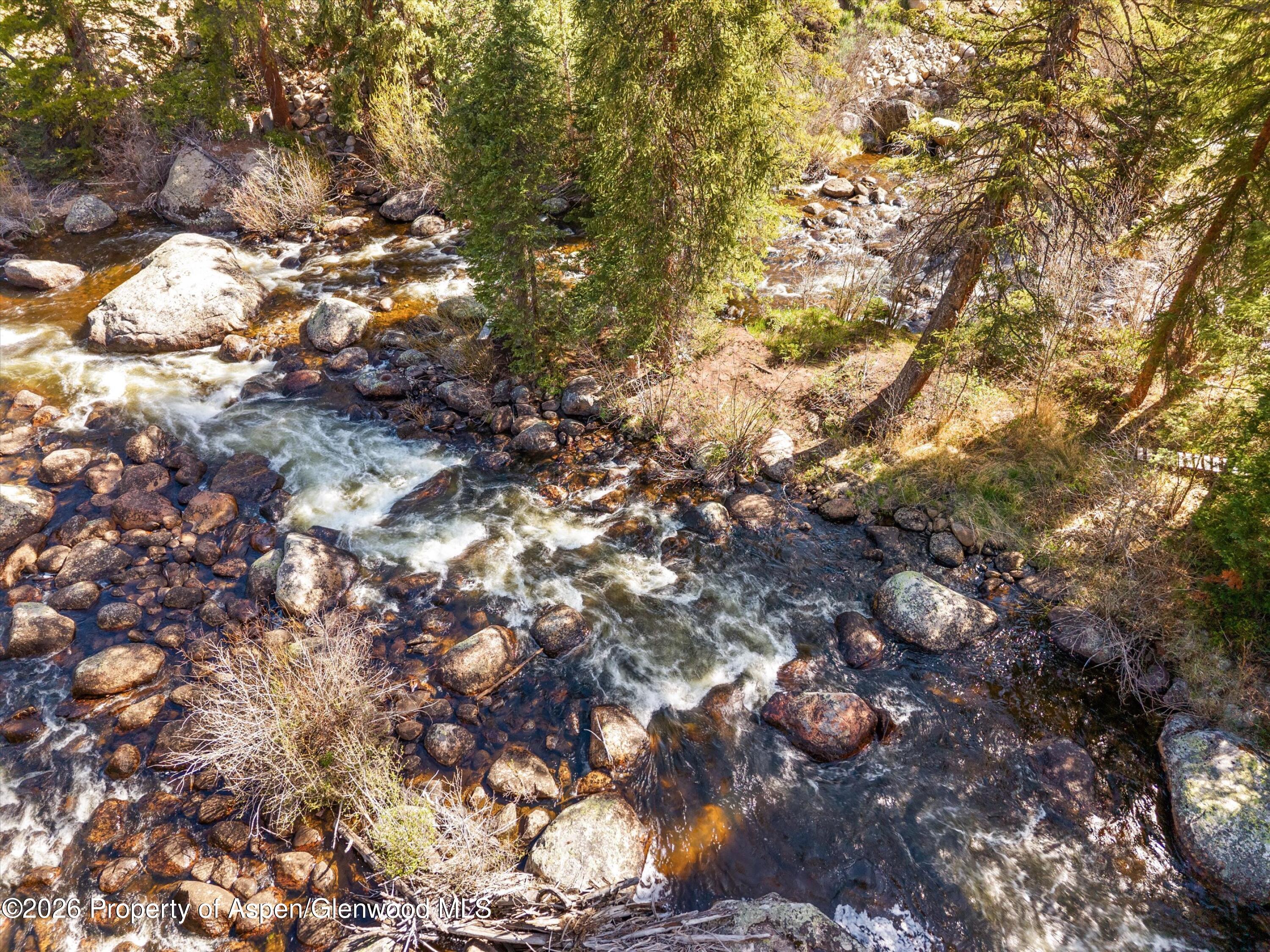 26608 Frying Pan Road Meredith, CO 81642 - Photo 38 of 49 a picture of tree