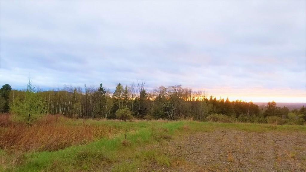 Lot 001 Dole Hill Road Holden, ME 04429 - Photo 12 of 16 13
