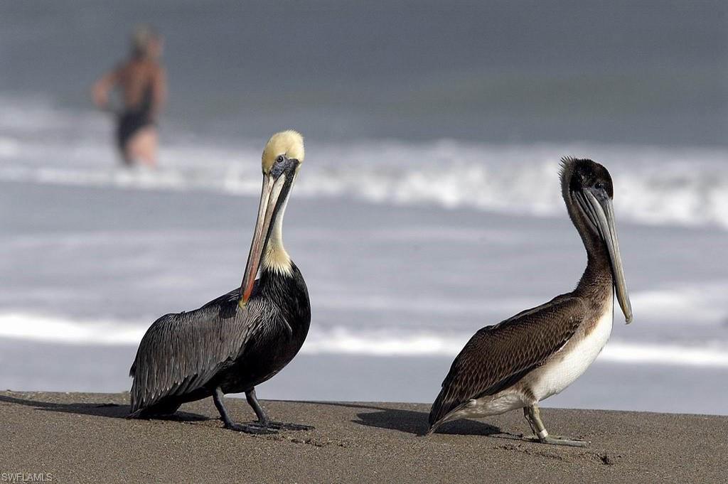 Undisclosed Address Naples, FL 34112 - Photo 23 of 24