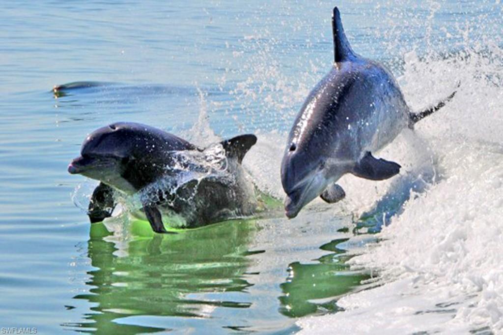 Undisclosed Address Naples, FL 34112 - Photo 24 of 24