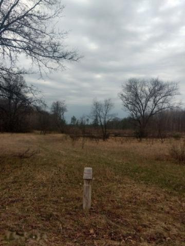 Lot 2 North Maple Hill Road Morley, MI 49336 - Photo 3 of 3 20180509144403735426000000-o