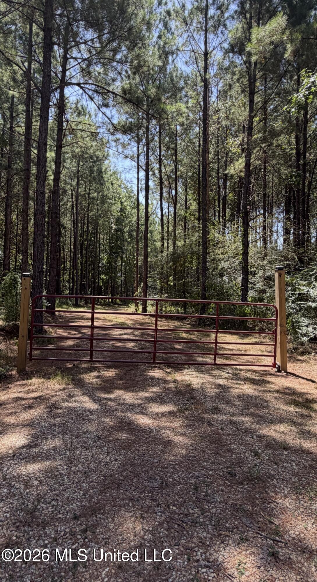 111 Progress Trail Sumrall, MS 39482 - Photo 1 of 9 IMG_6563