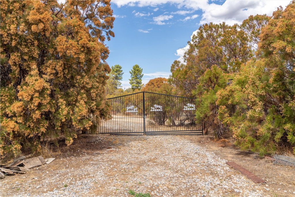 58175 Bliss Road Anza, CA 92539 - Photo 49 of 74 Gallery Image 49
