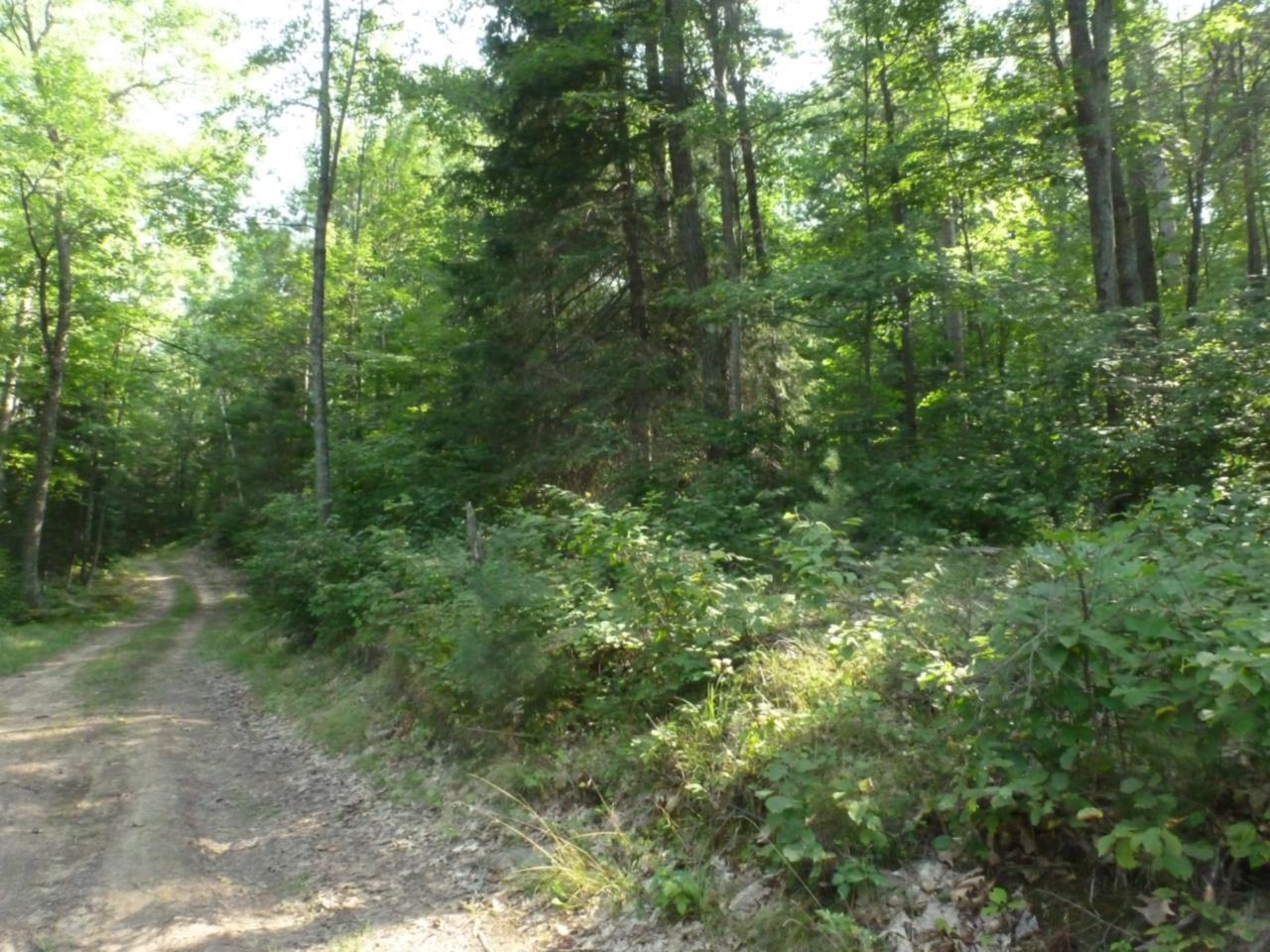 End Of Lakeland Drive Rhinelander, WI 54501 - Photo 8 of 12 Gallery Image 8