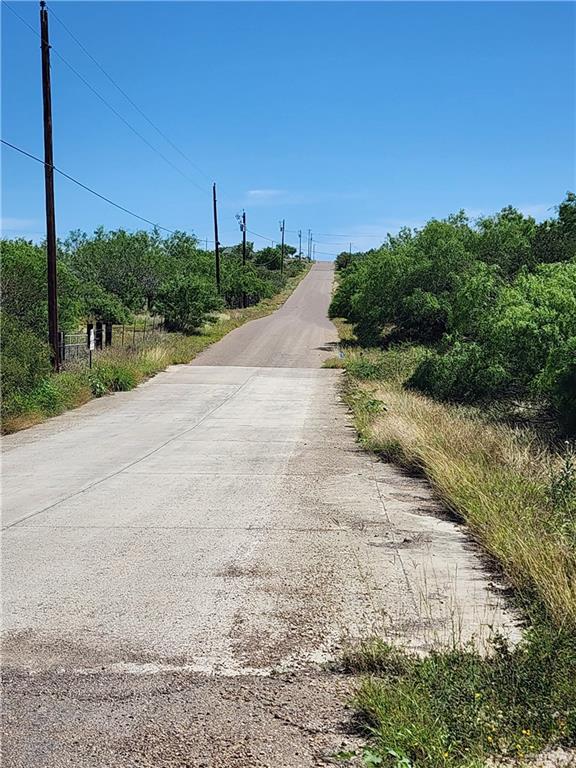 0 Chele Road Falcon Heights, TX 78545 - Photo 1 of 1 View of road