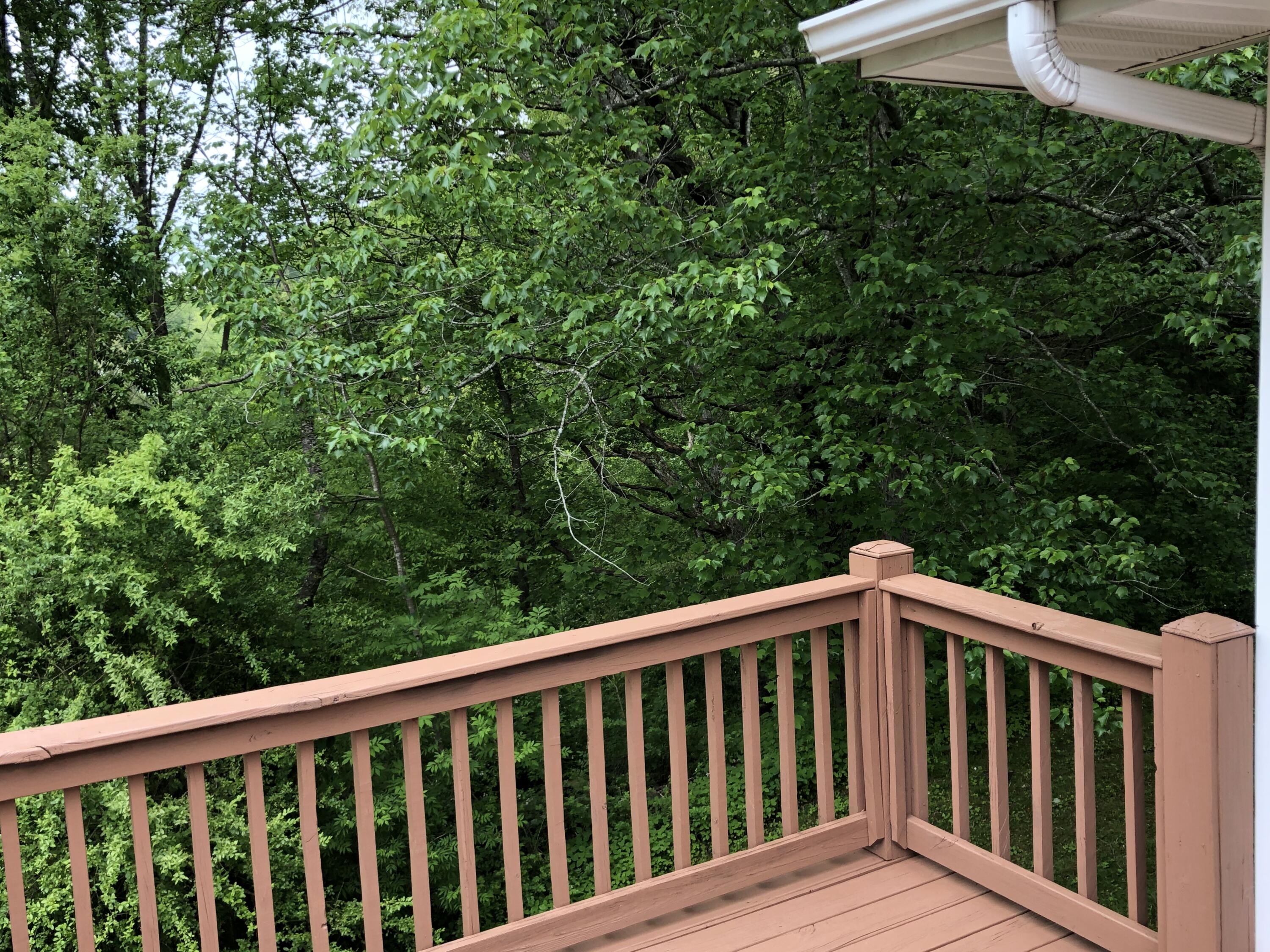 157 Kings Road Oneida, TN 37841 - Photo 10 of 27 Deck5