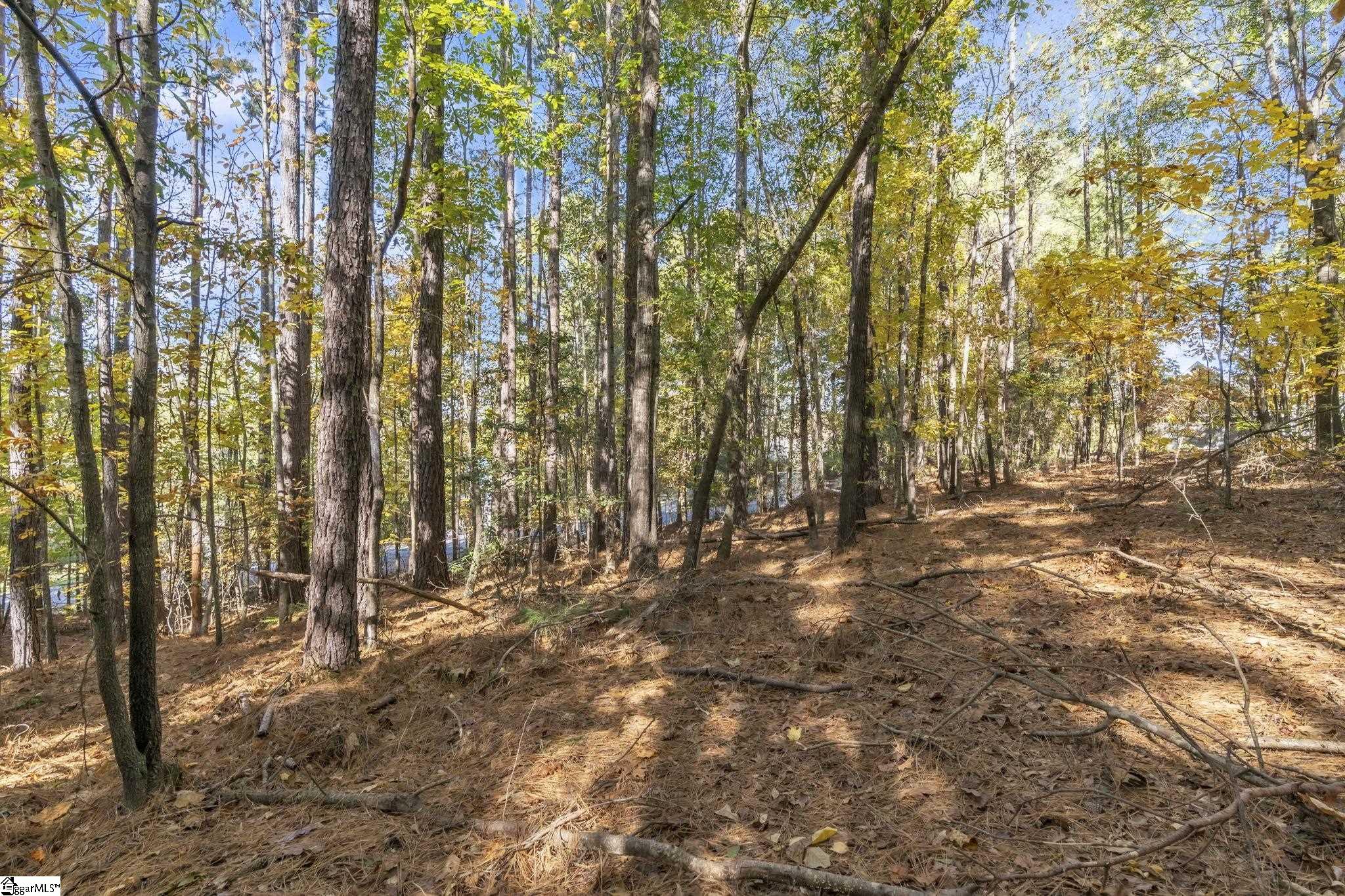 Lot 202 Shorewinds Court Seneca, SC 29672 - Photo 2 of 6