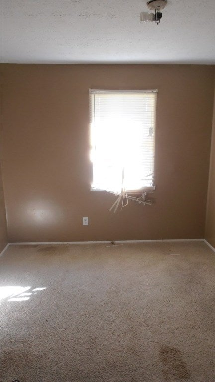 9 Tempest Road Salem, AL 36874 - Photo 13 of 17 Gallery Image 13