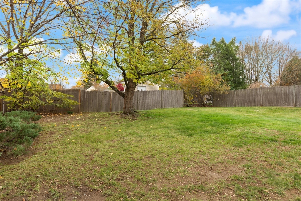 41 James Street Framingham, MA 01701 - Photo 36 of 42