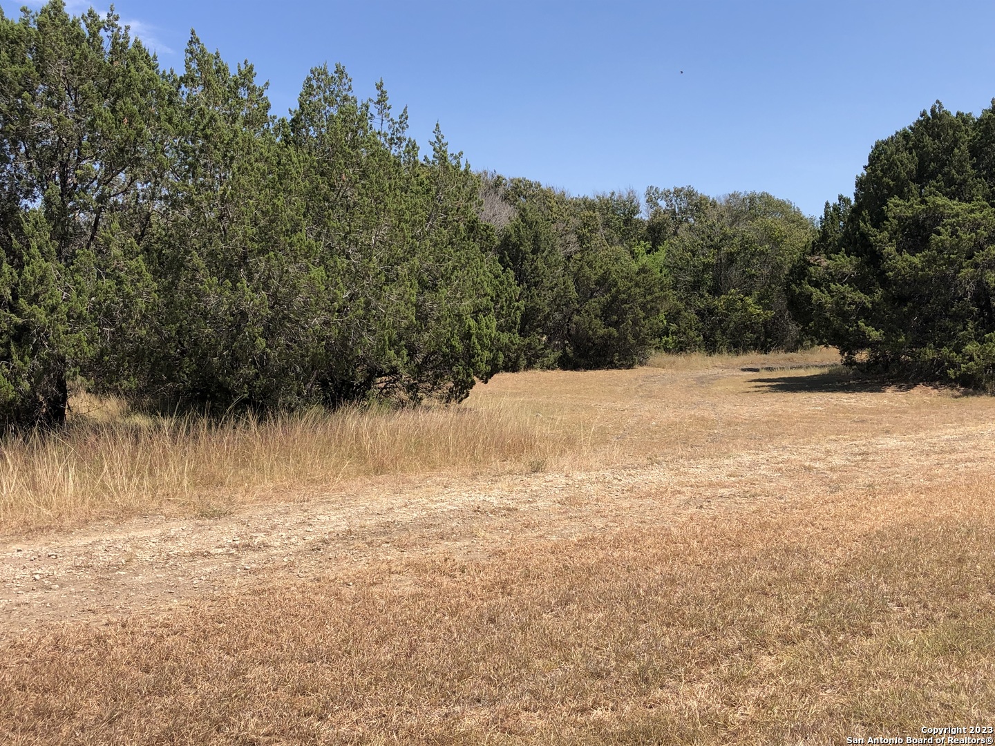 4200 Bell Lane Selma, TX 78154 - Photo 2 of 6