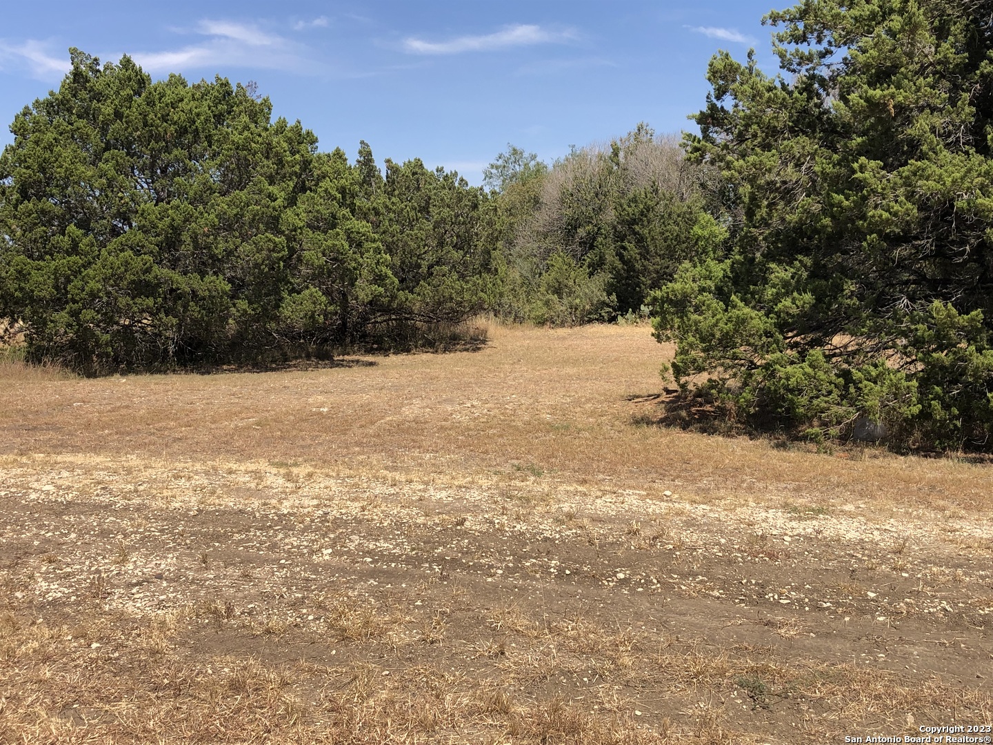 4200 Bell Lane Selma, TX 78154 - Photo 3 of 6 a view of a yard with a tree
