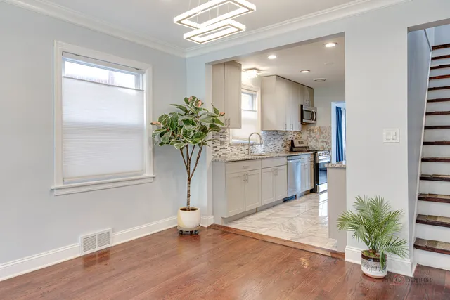 a kitchen with counter top space and a potted plant