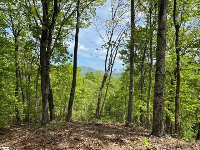 $839,000 | 100 Wood Violet Trail, Marietta, SC 29661