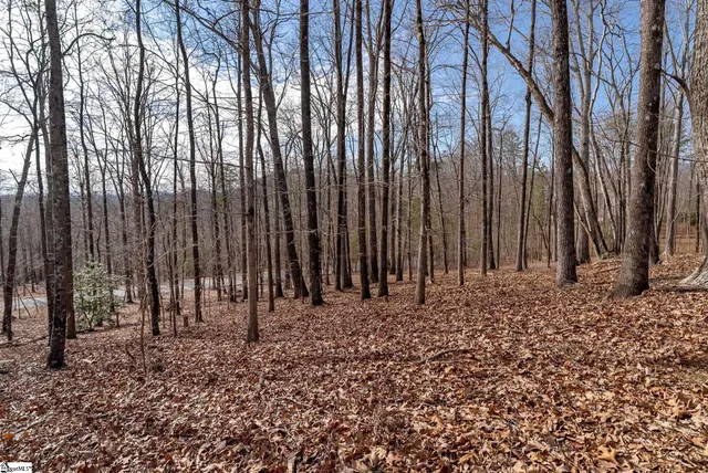 $839,000 | 100 Wood Violet Trail, Marietta, SC 29661