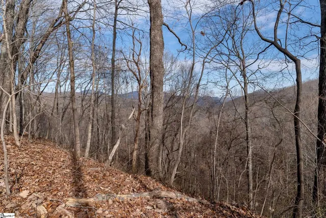 $839,000 | 100 Wood Violet Trail, Marietta, SC 29661