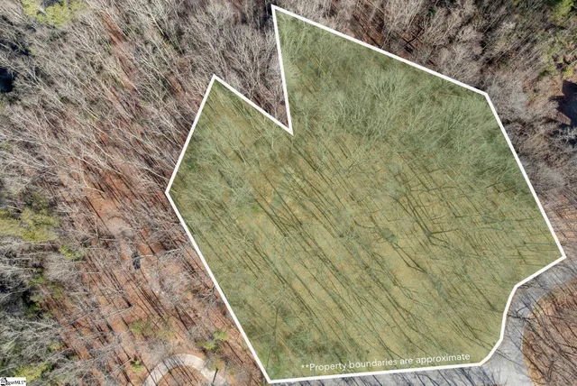 $839,000 | 100 Wood Violet Trail, Marietta, SC 29661