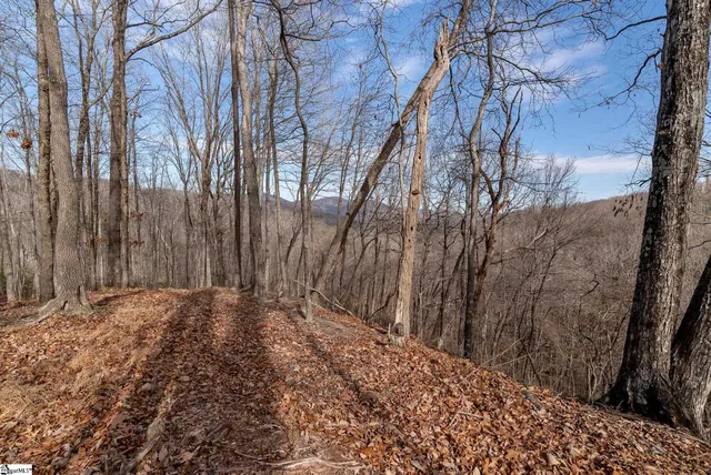 $839,000 | 100 Wood Violet Trail, Marietta, SC 29661