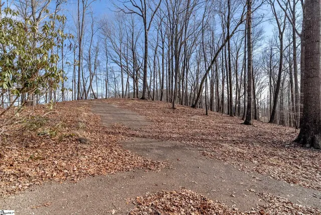 $839,000 | 100 Wood Violet Trail, Marietta, SC 29661