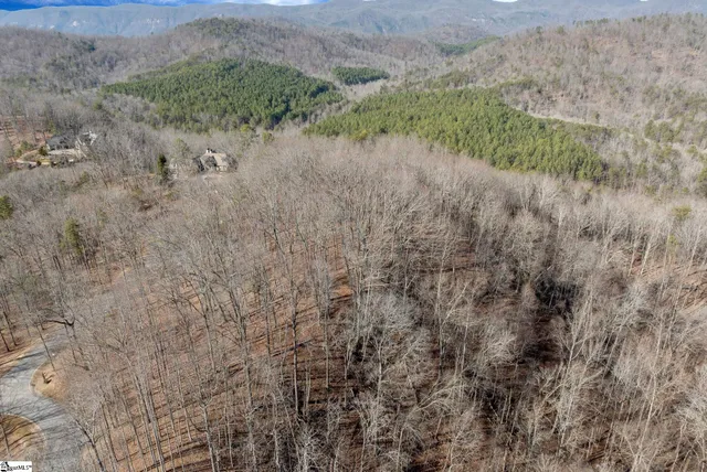 $839,000 | 100 Wood Violet Trail, Marietta, SC 29661